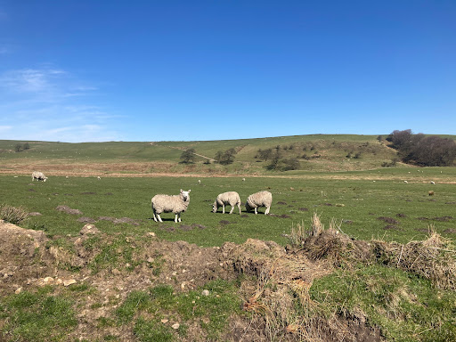 Darwen Moor