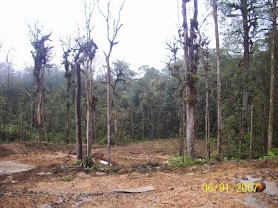 Photos of Bukit Lumut Balai