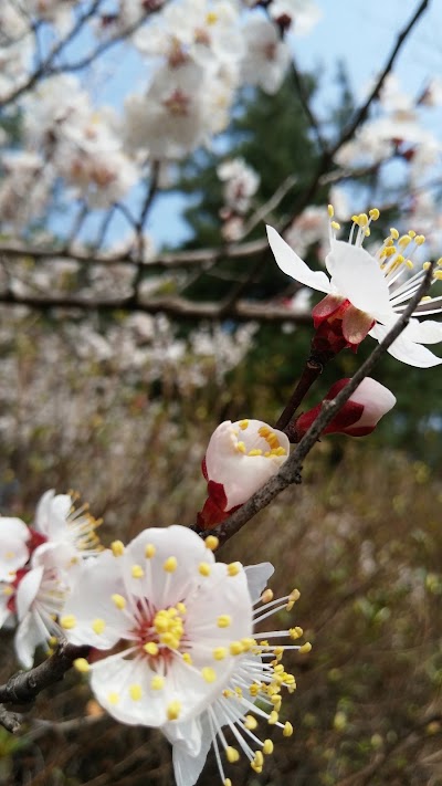 Photos of 정발공원