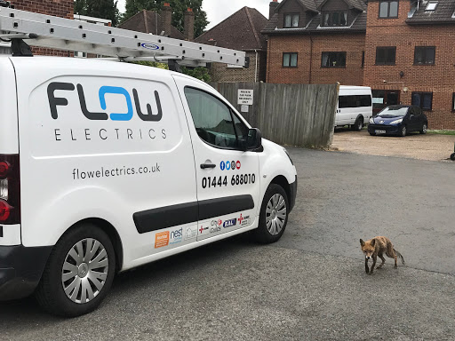 Flow Electrics LTD - Visual