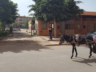 Photos of Agdal Garden