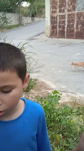 ΤΟ ΜΑΓΑΖΑΚΙ που λέγαμε... - Εστιατόριο
