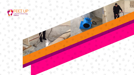 Feet Up Carpet Cleaning Oakton - Thumbnail