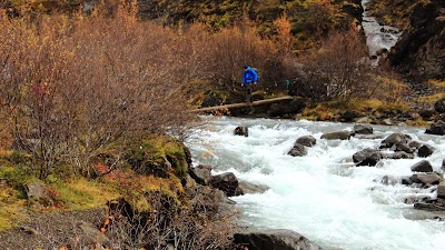 Photos of Baumstamm / Furt - Wanderweg