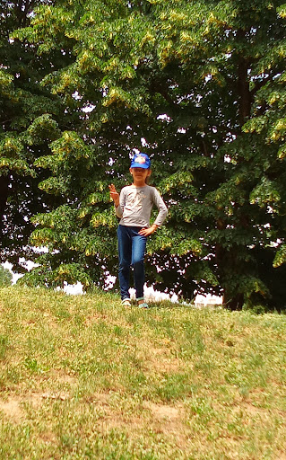 Giardino Via Roma - Thumbnail