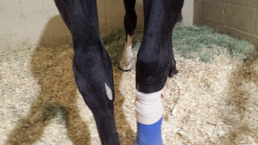 Weatherford Equine Medical Center P.C. - Thumbnail