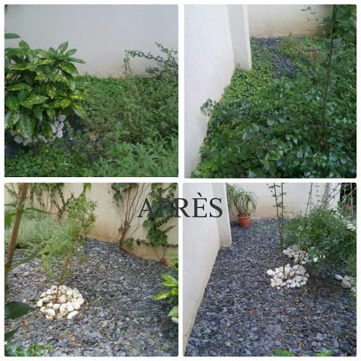 JPC Services - Visual