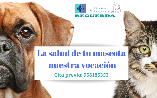 Clínica Veterinaria Recuerda