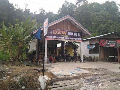Photos of DZW Motor