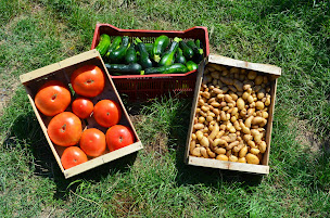 Photo n°5 de Les Vergers de Maubec à Montélimar (Ferme bio)