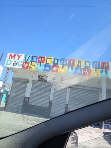MDV