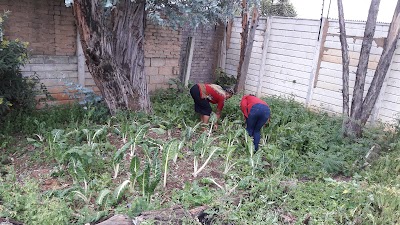Photos of CTM - Strijdom Park