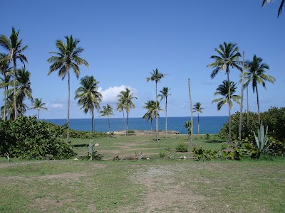 park