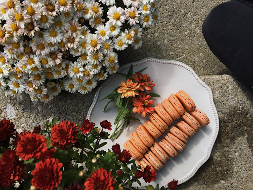 Vines Bakery - Visual