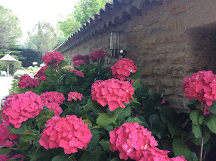 Photo n°41 de AU CHANT DES SORGUES à Lagnes (Maison d'hôtes)