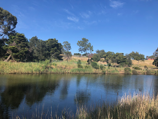 Tea Gardens Reserve - Thumbnail