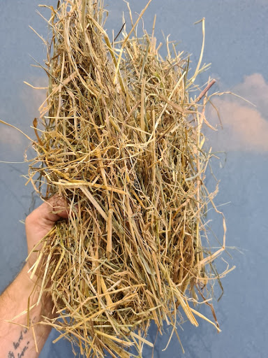 Hay to You - Thumbnail