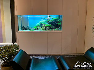 Photo n°21 de Aquarilis Paris à Carrières-sur-Seine (Magasin de poissons tropicaux)