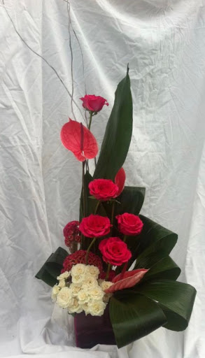 Daiseychains florist - Thumbnail