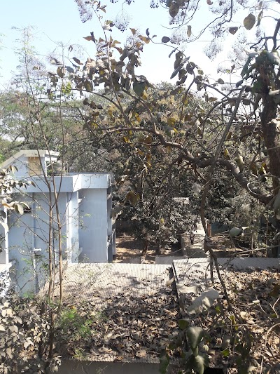 Photos of Adamdighi Upazila Parishad