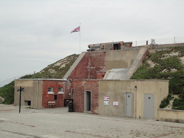 The Needles Old Battery & New Battery