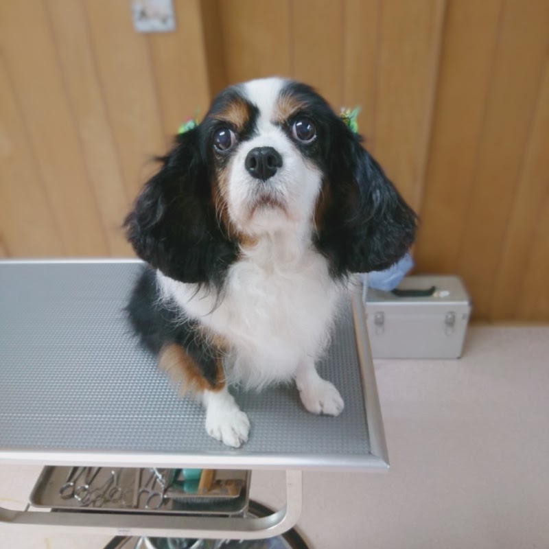 ペットサロンあすなろ