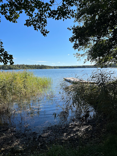 Arsläjans naturreservat - Thumbnail