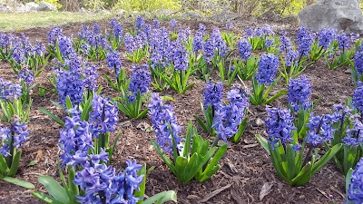 Photos of Merriam Parks and Recreation