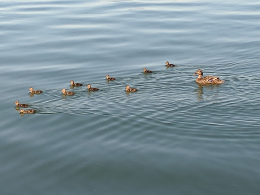 Lucerne Harbor Park | Lake County Parks Gallery - United States