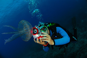 Photo n°32 de Aqua-Evasion à Gignac-la-Nerthe (Moniteur de plongée)