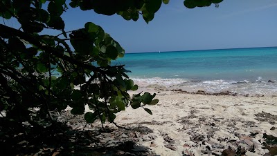 Photos of Public Beach Playa Dominicus
