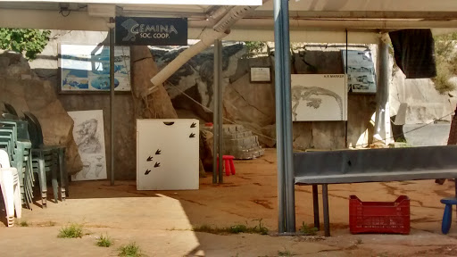 Sito Paleontologico Villaggio del Pescatore - Thumbnail