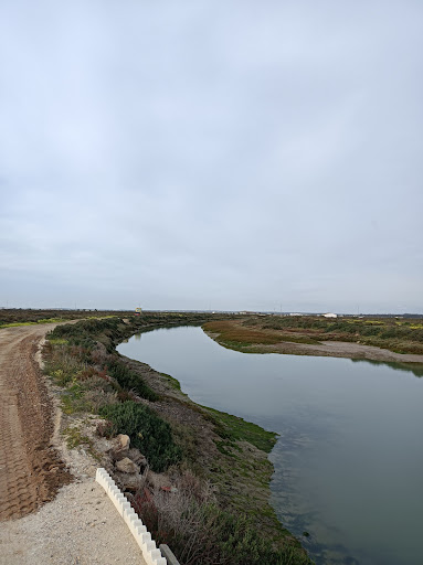 Molino de Pesca - Thumbnail