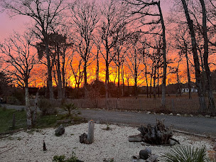 Photo n°29 de Au Bois Flotté Chambres D'Hotes à Hourtin (Chambre d'hôtes)