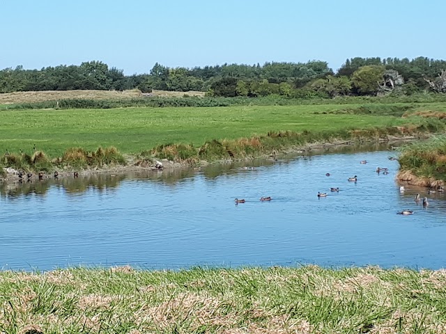 Observatoire Reserve Beauguillot