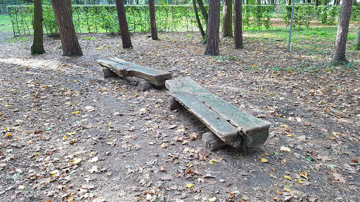 Kletterwald - Thumbnail