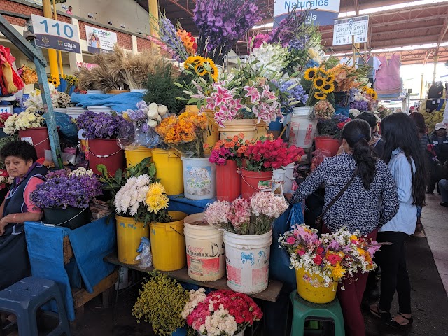 Mercado San Camilo