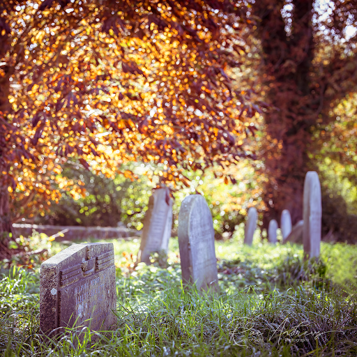 Thorpe Road Cemetery - Thumbnail