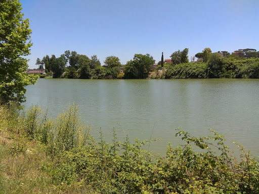 La Tiberina - Thumbnail