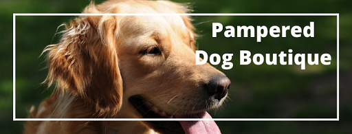 Pampered Dog Boutique - Thumbnail