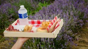 Photo n°9 de Les collines de Besplas à Villasavary (Attraction touristique)