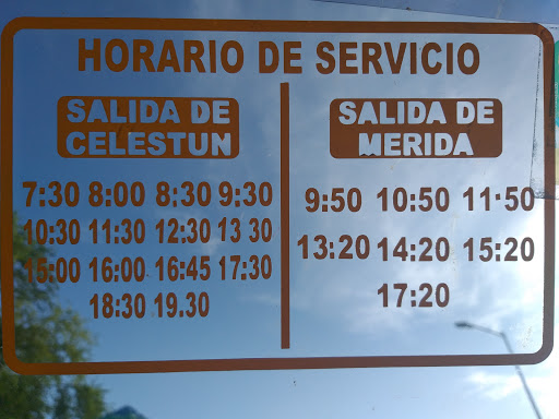 Paradero de Combis Mérida-Celestún - Thumbnail