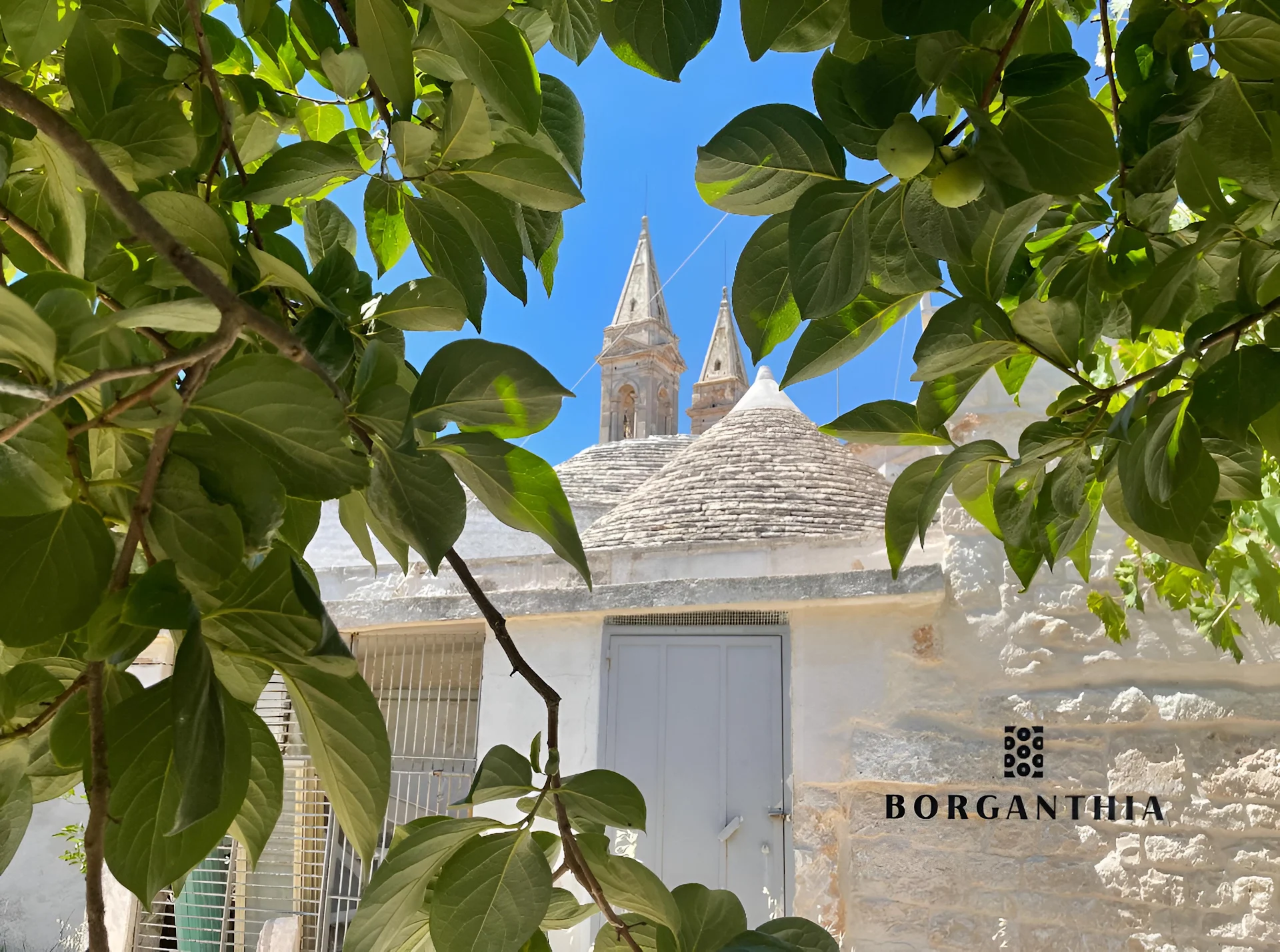 BORGANTHIA - Il Chiostro dei Medici