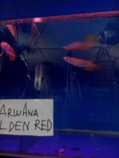 aquarium