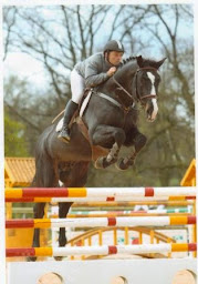 Photo n°5 de Les Écuries du Palordet à Montracol (Pension pour chevaux)