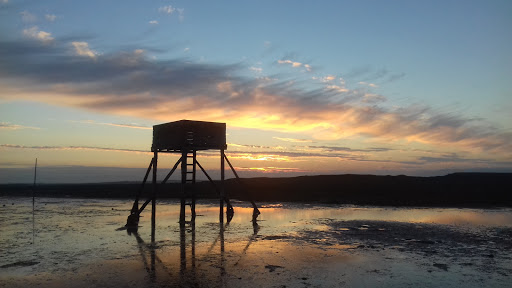 Footsteps in Northumberland - Thumbnail