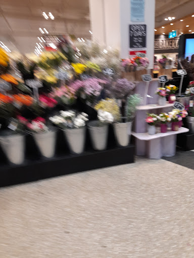 Coles Kedron - Thumbnail