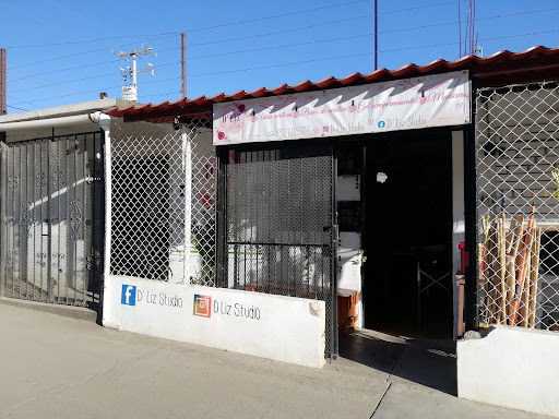 D Liz Studio