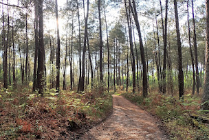 Photo n°9 de Chambres d'hôtes 