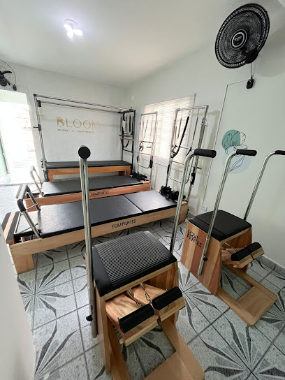 Bloom Pilates e Fisioterapia